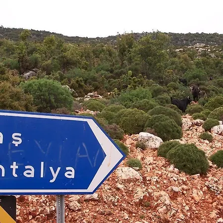 Guest house Ani Pension Kas