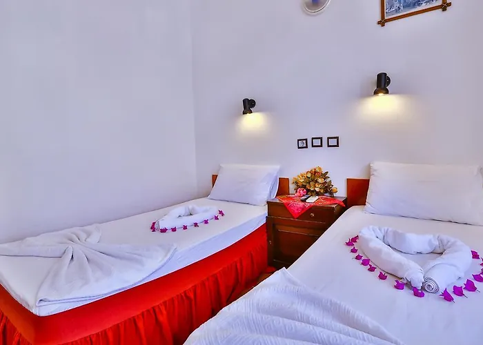 Ani Pension Konukevi 2*