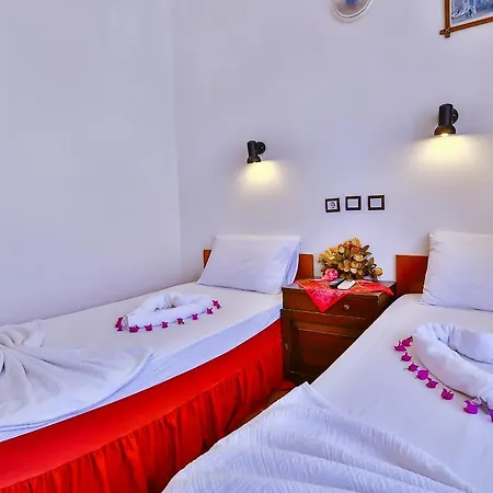 Ani Pension Πανσιόν 2*