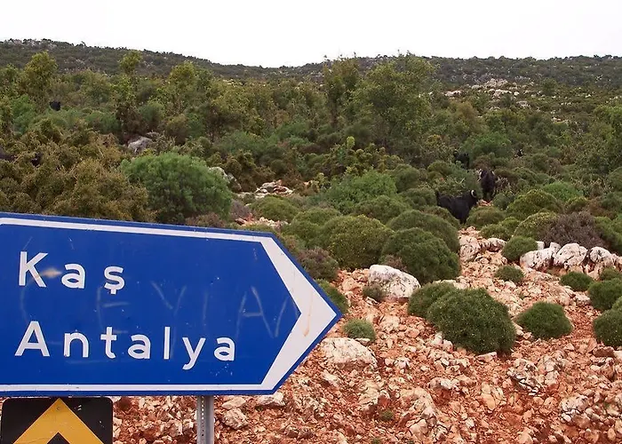 Πανσιόν Ani Pension Κας