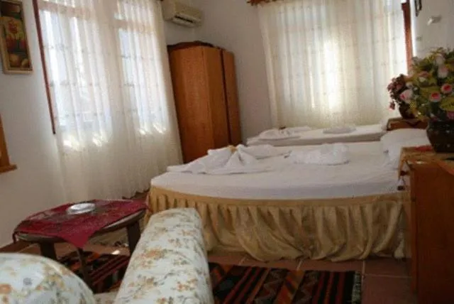 Ani Pension Πανσιόν 2*